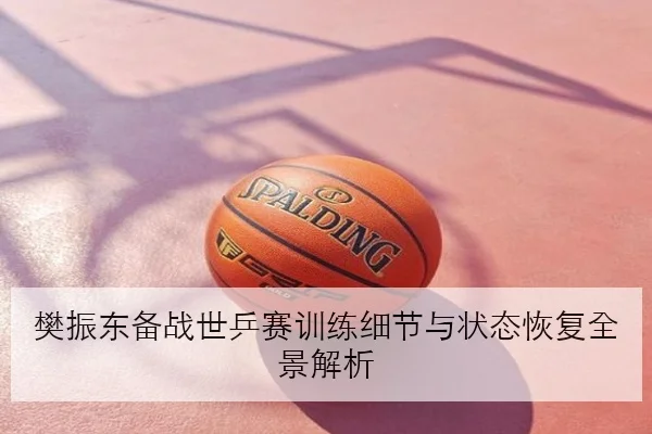 樊振东备战世乒赛训练细节与状态恢复全景解析